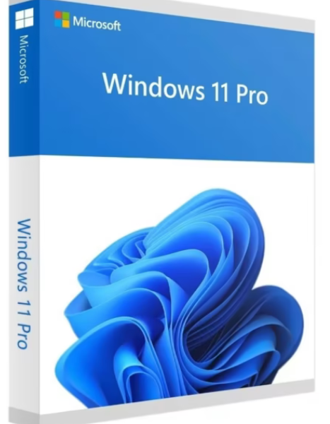 Windows 11 Professional – Licencia permanente