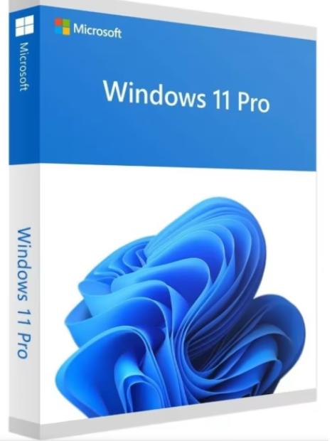 Windows 11 Professional – Licencia permanente