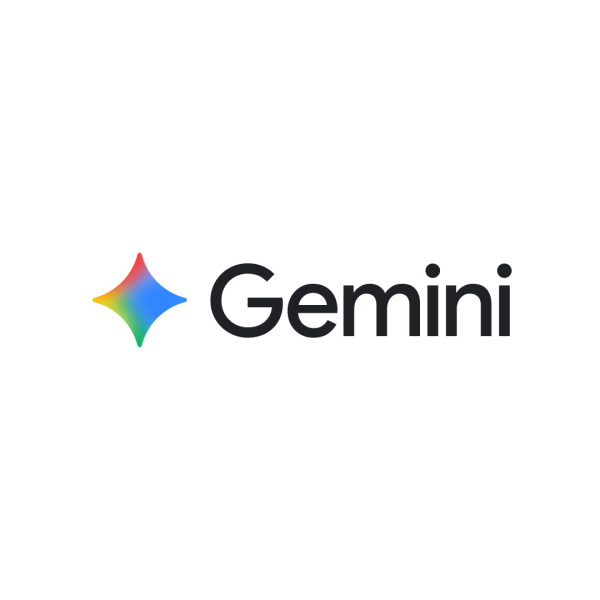 Gemini – 1 Año