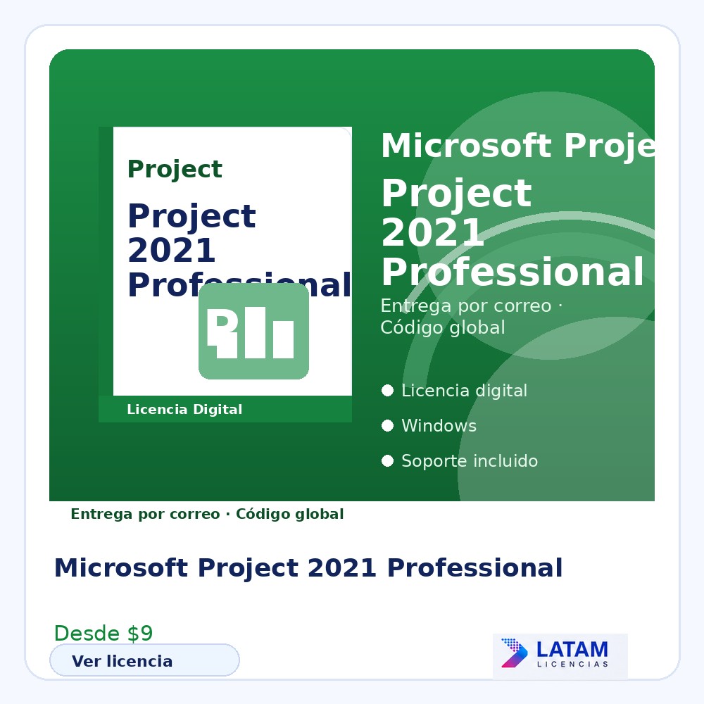 Microsoft Project 2021 Professional